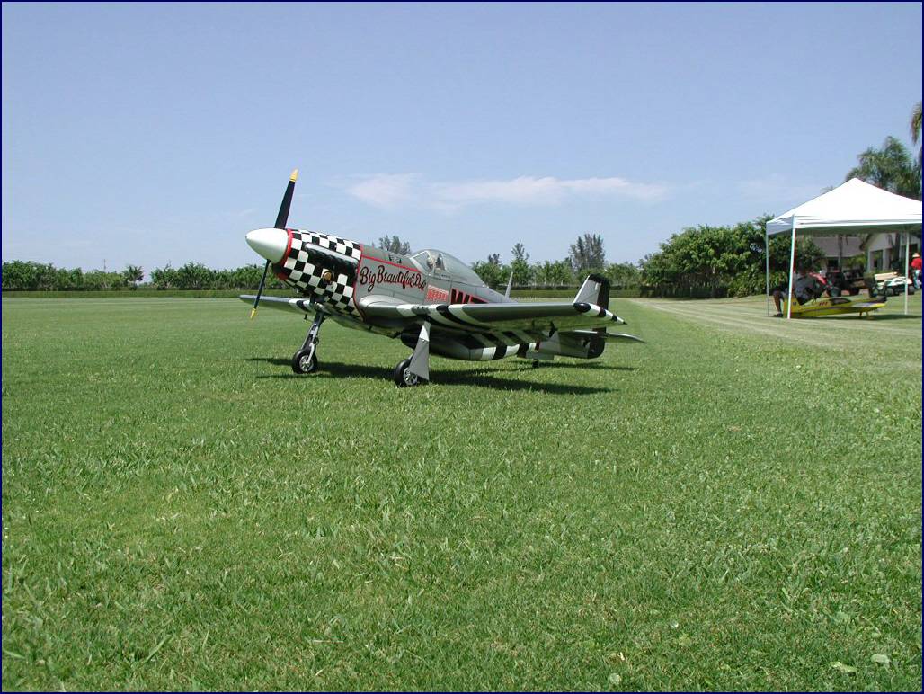 p51_4.jpg