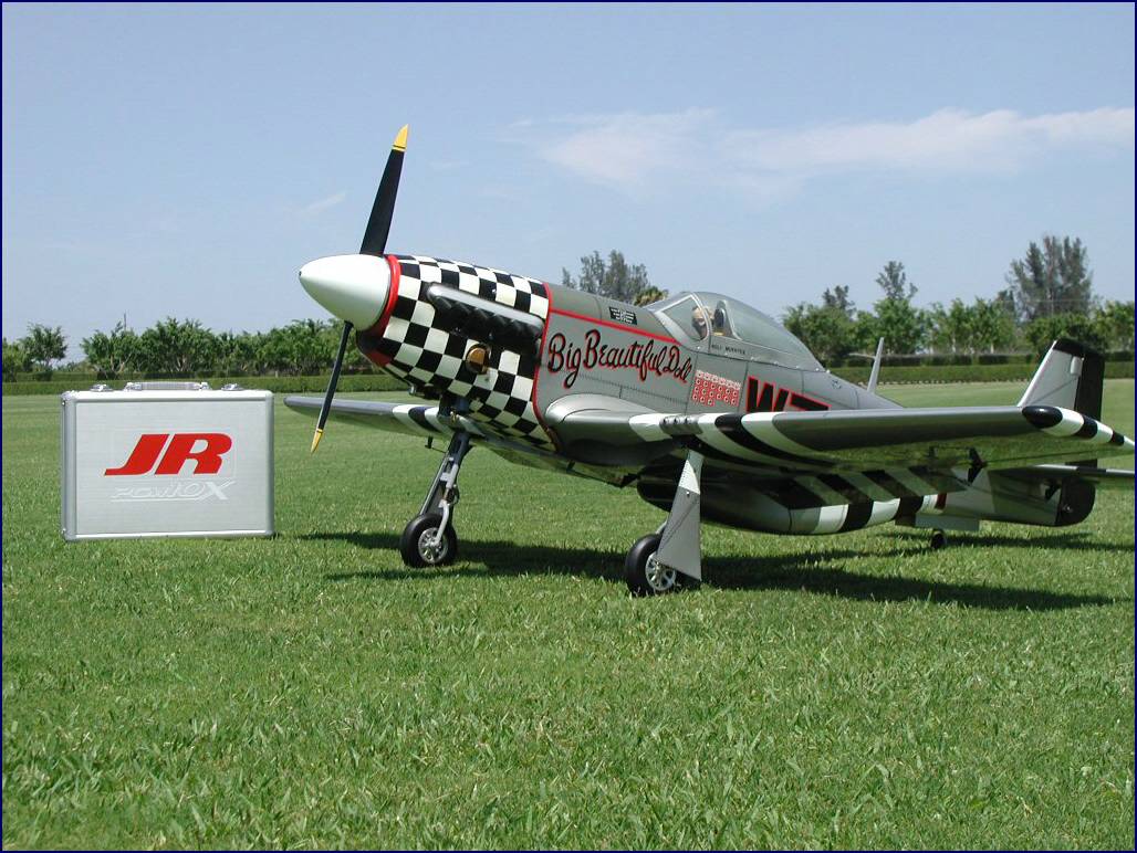 p51_7.jpg