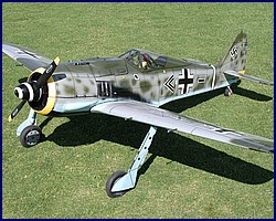 fw190_1.jpg