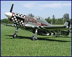 p51_5.jpg