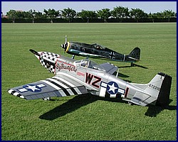 p51_fw190_1.jpg