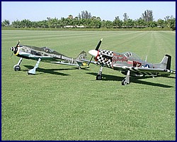 p51_fw190_6.jpg